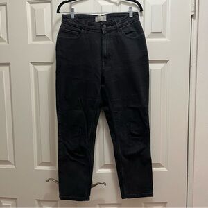 Everlane Curvy Cheeky Jean - Size 30 Crop / Black